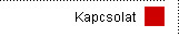 Kapcsolat